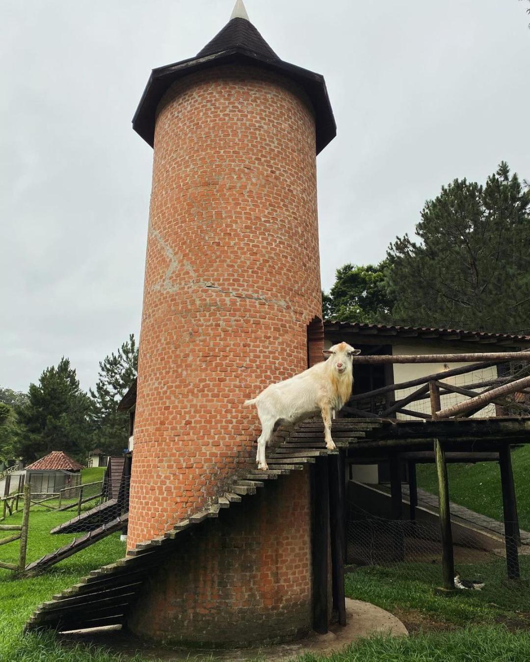 Fazenda Suica Le Canton Teresópolis Exteriör bild